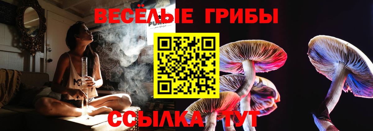 Галлюциногенные грибы Cubensis Мытищи