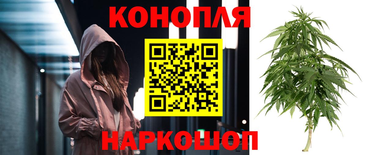 МАРИХУАНА сатива Мытищи